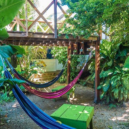 Ciao Cacao Hostel & Vegan Cafe Флорес Екстериор снимка