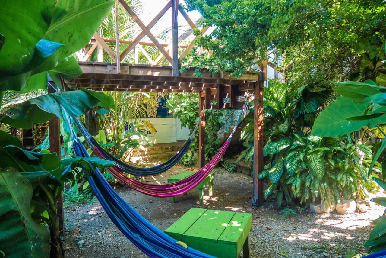 Ciao Cacao Hostel & Vegan Cafe Флорес Екстериор снимка