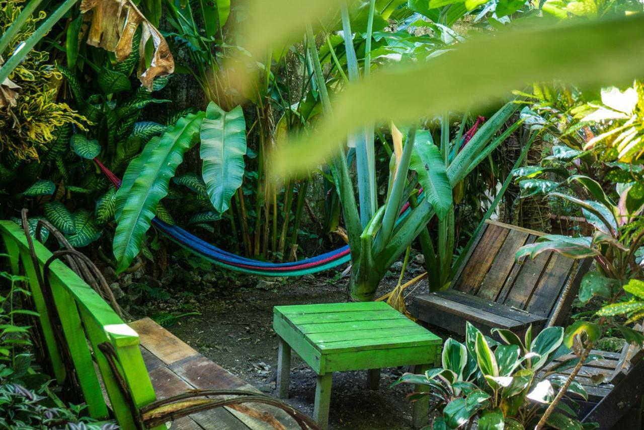 Ciao Cacao Hostel & Vegan Cafe Флорес Екстериор снимка
