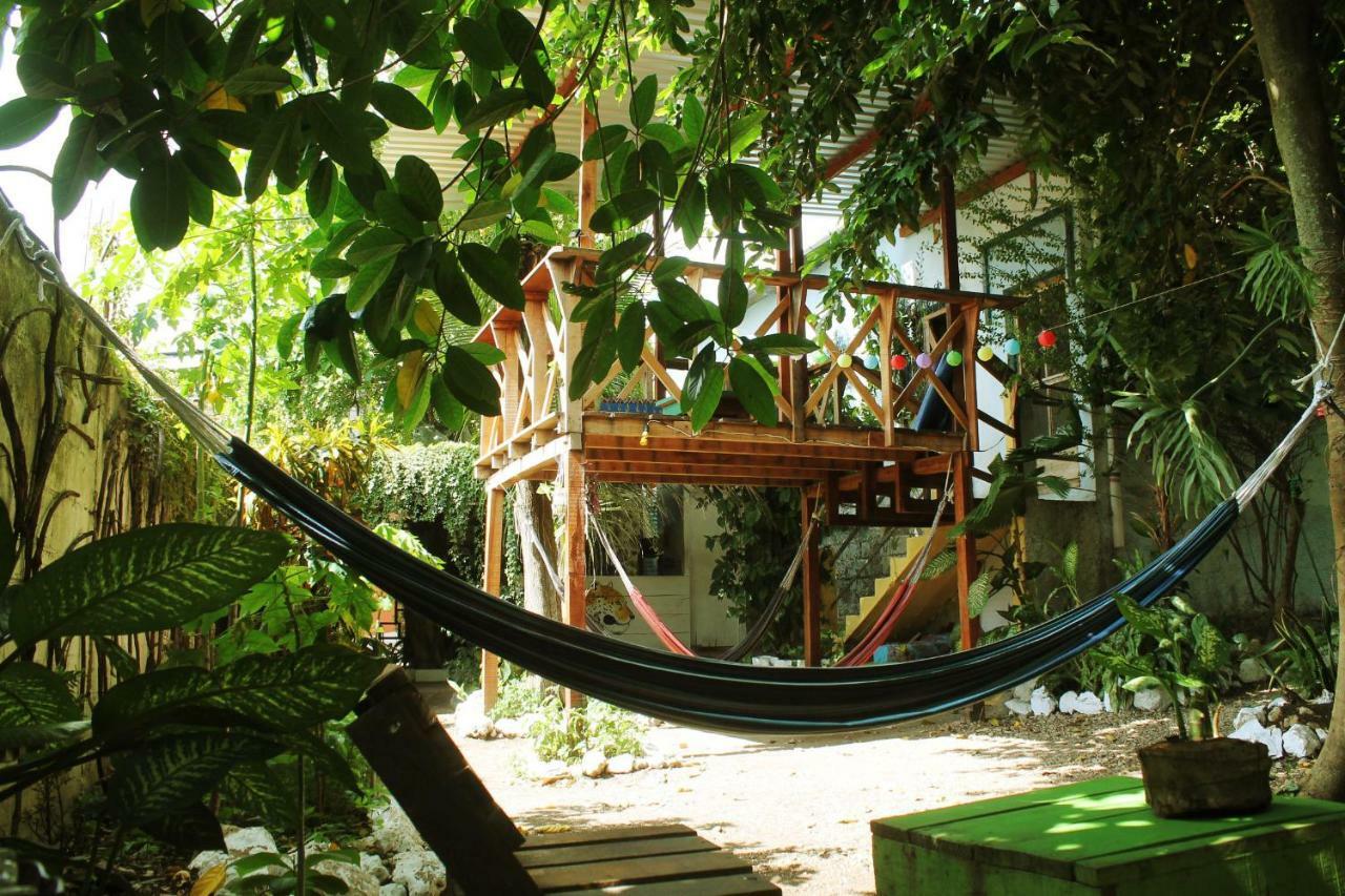 Ciao Cacao Hostel & Vegan Cafe Флорес Екстериор снимка